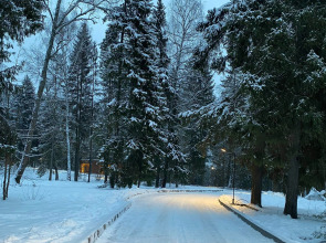 Отель Ruza Forest