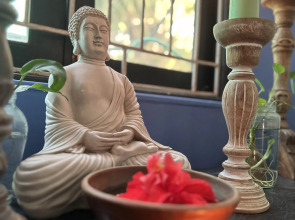 Бунгало SOLS Backyard