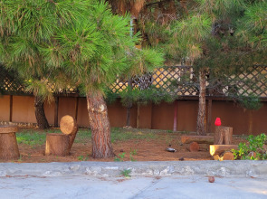 Гостевой дом Пламя