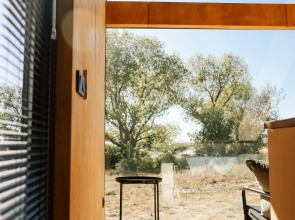 Глэмпинг Викингуд