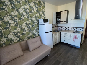 Квартира Уютная студия Дружба 4/2