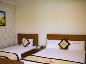 Lam Nguyen The Hotel