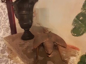 Апартаменты Рыцарь старого Кёнигсберга