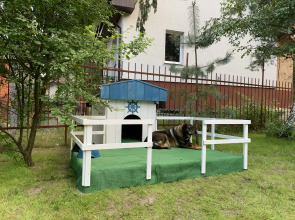 Гостевой дом Whale