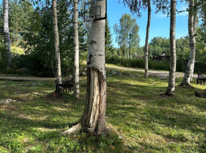 Гостевой дом Karjala Apartments