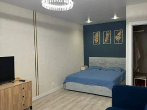 1-Komnatnaya Flat