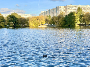 Апартаменты 3-я студия Ривер парк