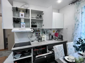 Квартира Тропики в Питере