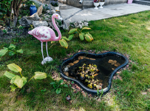 Гостевой дом Fhouse