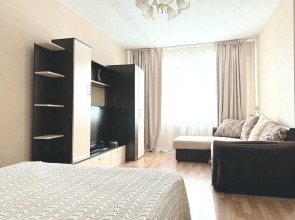 Квартира однокомнатная в центре на Дарвина