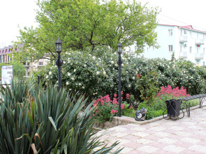 Гостевой Дом Аурелия