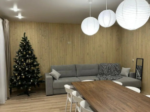 Вилла Брусника