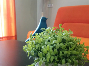 Апартаменты Двухкомнатные Уютный Тихвин 5-54 Мкд