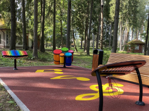 Отель Ruza Forest
