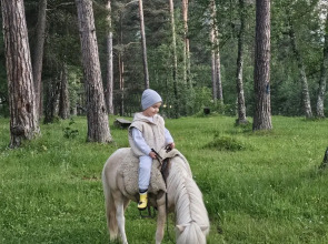 База отдыха Sherwood Arkhyz Chalet