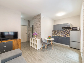 Апартаменты-студия на Фрунзенской