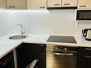 Квартира Шунгит