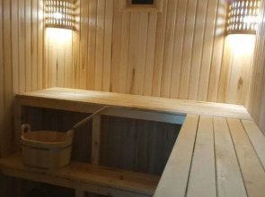 Частный дом у леса