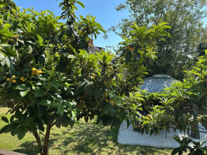 Гостевой дом Новый Афон