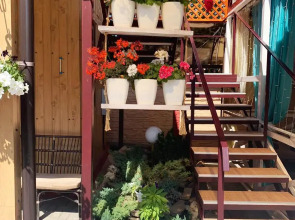 Отель Ласточка 117