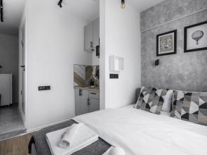 Апартаменты Стильные Loft Flats&Rooms Vnukovo