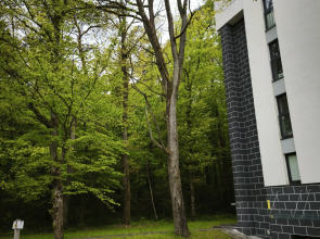 Апартаменты Serenity в окружении Реликтового Леса