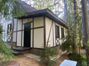 Uyutny Fligel U Ozera Bolshoye Borkovo Private House