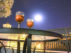 Отель New Palace Shardeni