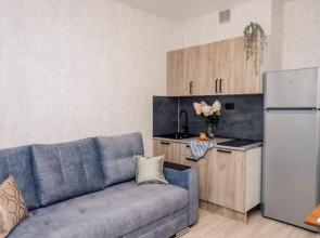 Апартаменты Студия на 2 гостя Орджоникидзе 19/2