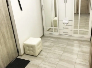 Апартаменты на Аллее рядом с Физтехом и Шереметьево