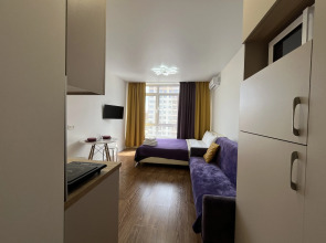 Апартаменты Unique Apart Бархат у Парка Ангелов и Цирка на Мичурина 58/1