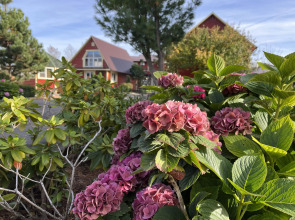 Гостевой дом Волшебный сад