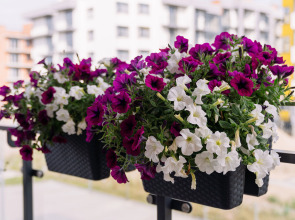 Апартаменты Apart-Deluxe Легенды Моря