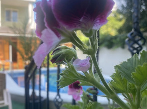 Гостевой дом Регион Море