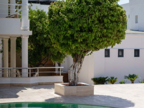 Отель Costa Maya