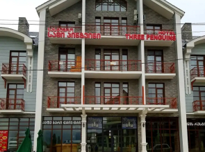 Three Penguins Hotel