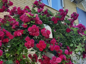 Na Spokoynom Pereulke Guest house