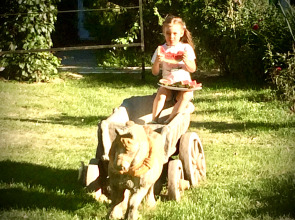 База отдыха Замок