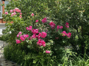 Гостевой Дом Белая Невесточка