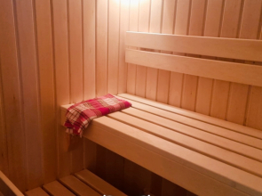 Апартаменты Сауна и Терраса