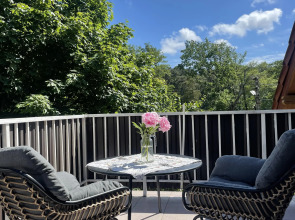 Апартаменты Студия Мельничный пруд