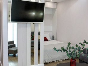 Квартира Лососинская 13