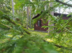 Na Dachnoy 23 Private House