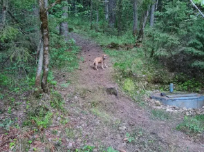 Апартаменты Валдай Пространство мечты 2