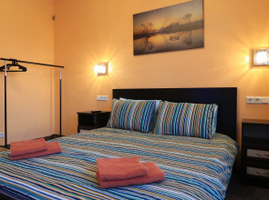 Апартаменты Comfy Place City Center Ligovka 2R