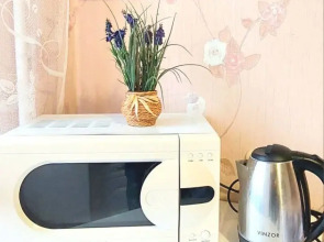 Квартира Центр Гостиный двор