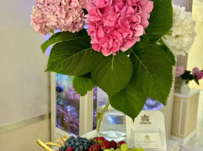 Гостевой дом Aurum