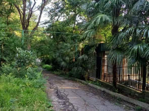 Бунгало Лесная тишина