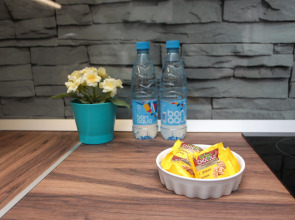 Апартаменты Alt Platz on Lenina 15