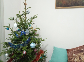 Квартира в центре Кронштадта